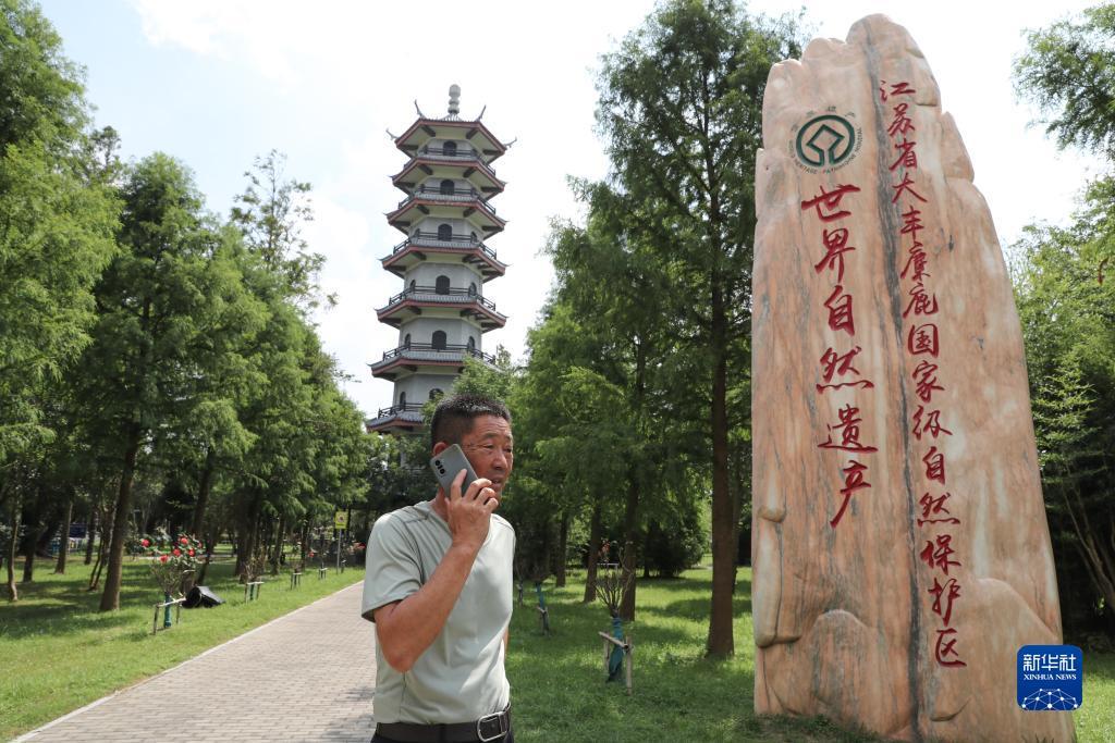 bet9账号收购